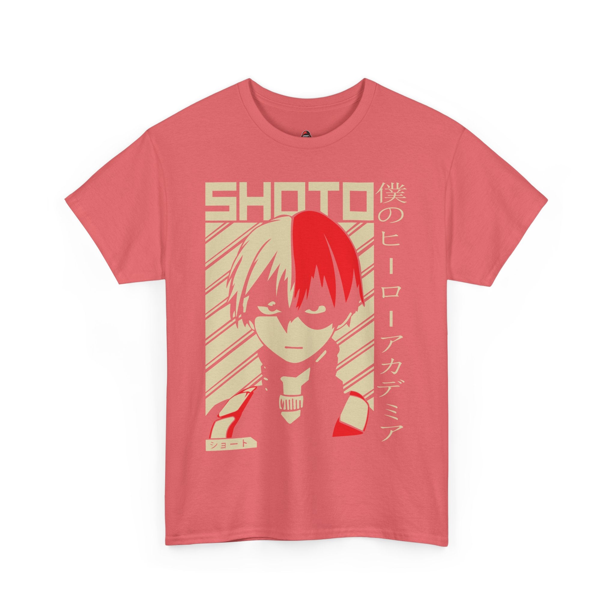 Todoroki: The Fire and Ice
